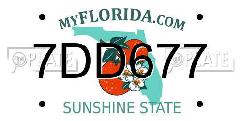 7DD677 Florida License Plate