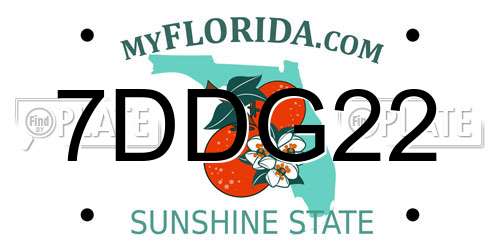 7DDG22 Florida License Plate
