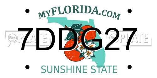 7DDG27 Florida License Plate