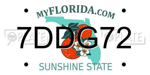 7DDG72 Florida License Plate