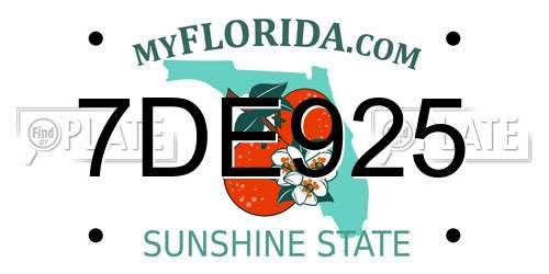 7DE925 Florida License Plate