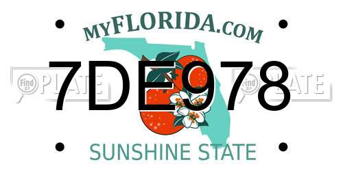 7DE978 Florida License Plate