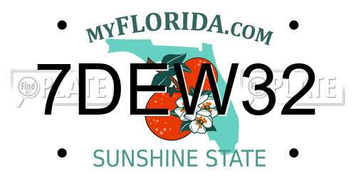 7DEW32 Florida License Plate