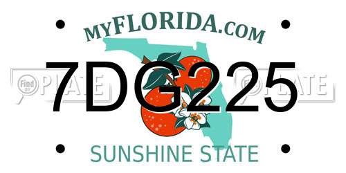 7DG225 Florida License Plate