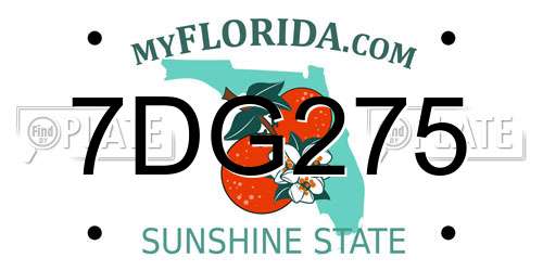 7DG275 Florida License Plate