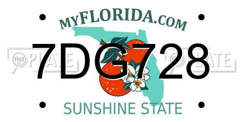 7DG728 Florida License Plate