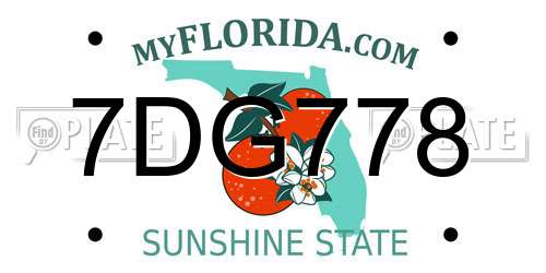 7DG778 Florida License Plate