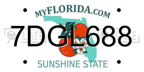 7DGL688 Florida License Plate