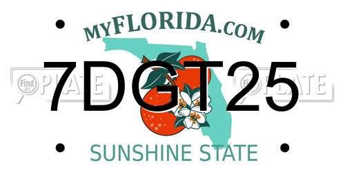 7DGT25 Florida License Plate