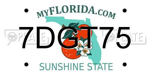 7DGT75 Florida License Plate