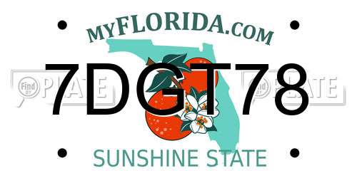 7DGT78 Florida License Plate