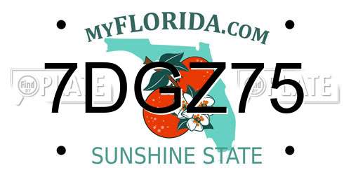 7DGZ75 Florida License Plate