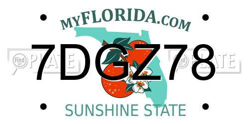 7DGZ78 Florida License Plate