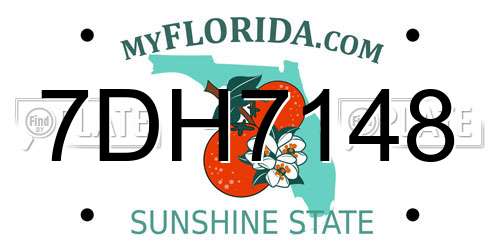 7DH7148 Florida License Plate