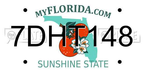 7DHT148 Florida License Plate