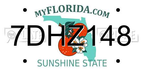 7DHZ148 Florida License Plate