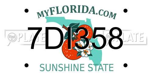 7DI358 Florida License Plate