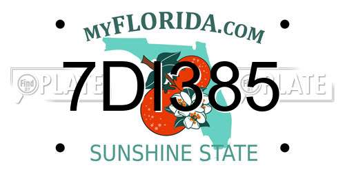 7DI385 Florida License Plate