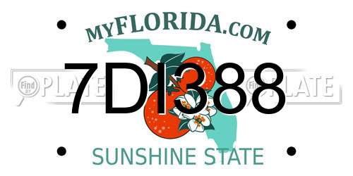 7DI388 Florida License Plate