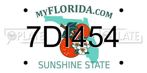 7DI454 Florida License Plate