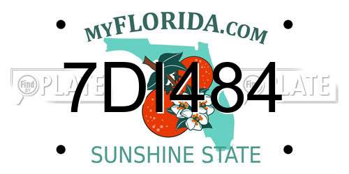 7DI484 Florida License Plate