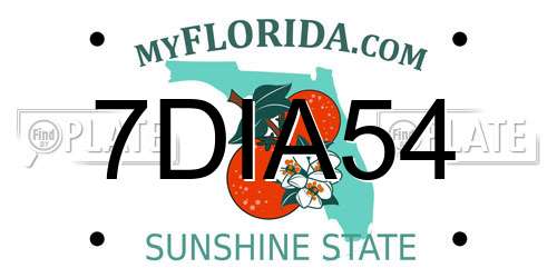 7DIA54 Florida License Plate