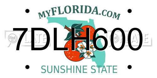 7DLH600 Florida License Plate