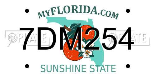 7DM254 Florida License Plate