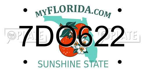 7DO622 Florida License Plate