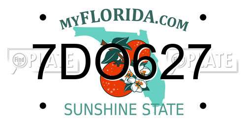 7DO627 Florida License Plate