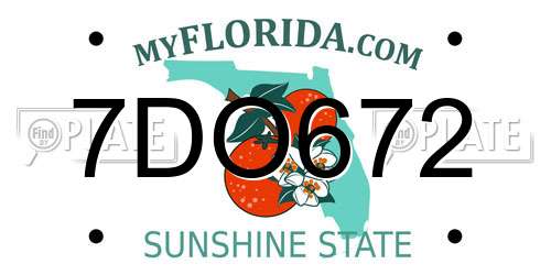 7DO672 Florida License Plate
