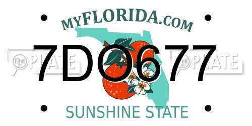 7DO677 Florida License Plate