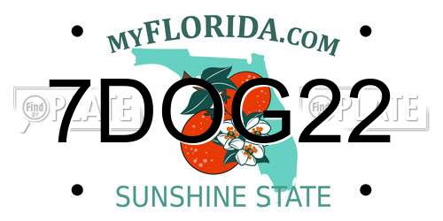 7DOG22 Florida License Plate