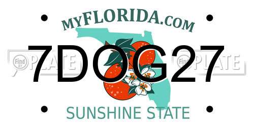 7DOG27 Florida License Plate