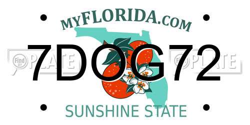 7DOG72 Florida License Plate