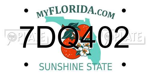 7DQ402 Florida License Plate
