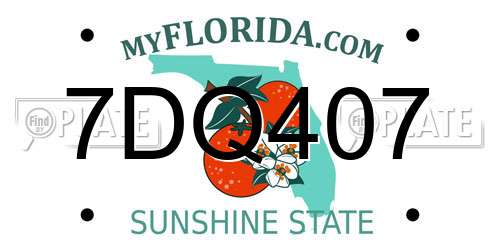 7DQ407 Florida License Plate
