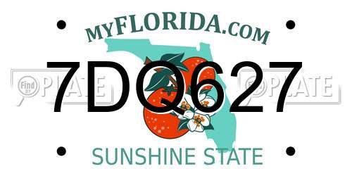 7DQ627 Florida License Plate