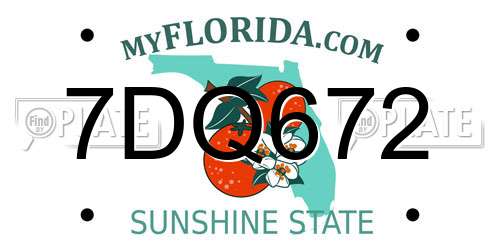 7DQ672 Florida License Plate