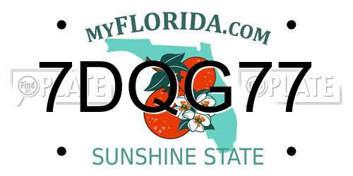 7DQG77 Florida License Plate