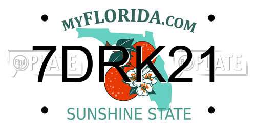 7DRK21 Florida License Plate