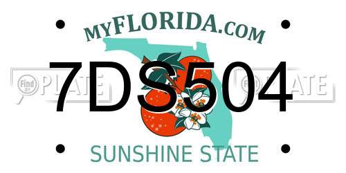 7DS504 Florida License Plate