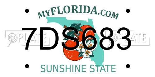7DS683 Florida License Plate