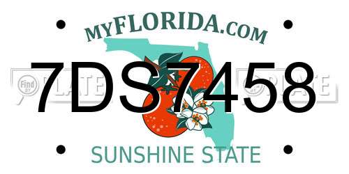 7DS7458 Florida License Plate