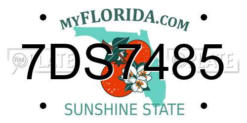 7DS7485 Florida License Plate