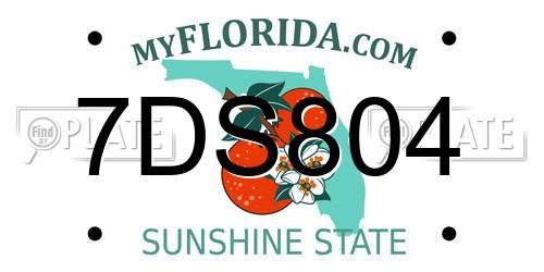 7DS804 Florida License Plate
