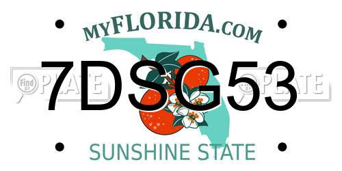 7DSG53 Florida License Plate