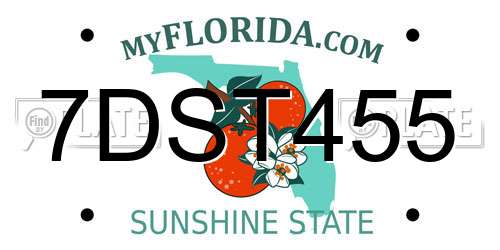 7DST455 Florida License Plate