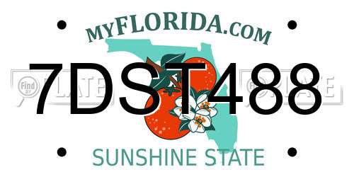 7DST488 Florida License Plate