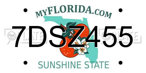 7DSZ455 Florida License Plate